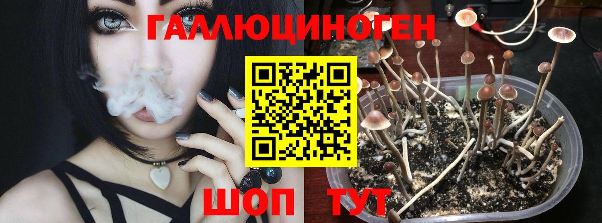 Галлюциногенные грибы Magic Shrooms  Вход с VPN  Балашов 